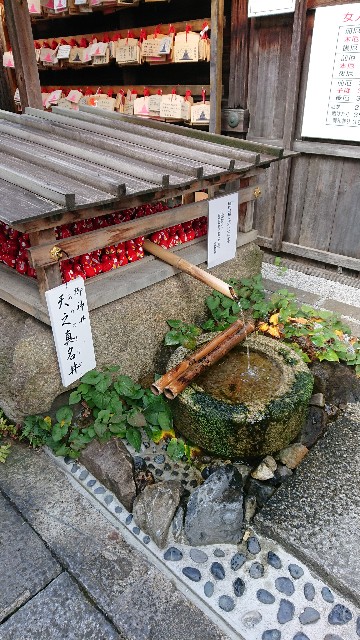 f:id:shioritz:20210329175114j:image f:id:shioritz:20210329175114j:image