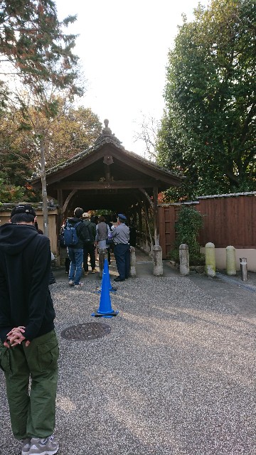 f:id:shioritz:20210414081848j:image f:id:shioritz:20210414081848j:image