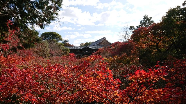 f:id:shioritz:20210414081953j:image f:id:shioritz:20210414081953j:image