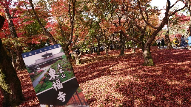 f:id:shioritz:20210414082042j:image f:id:shioritz:20210414082042j:image