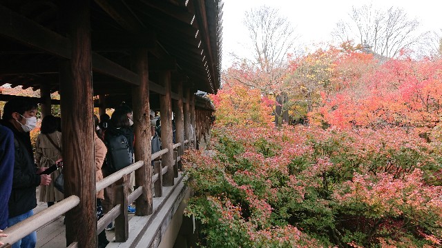 f:id:shioritz:20210414120947j:image f:id:shioritz:20210414120947j:image