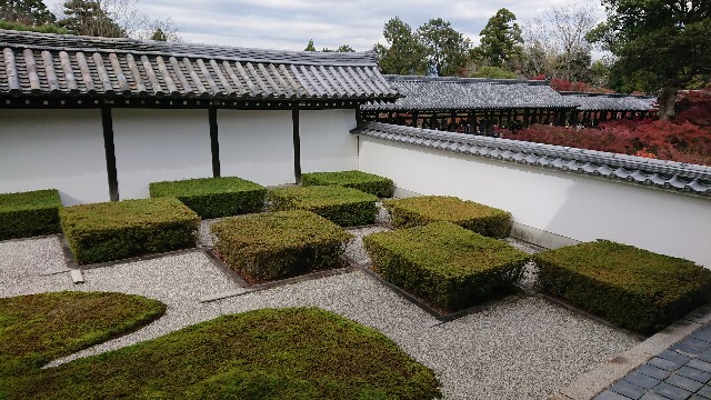 f:id:shioritz:20210414121231j:image f:id:shioritz:20210414121231j:image
