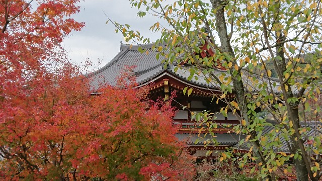 f:id:shioritz:20210422082641j:image