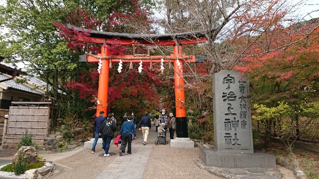 f:id:shioritz:20210510073933j:image