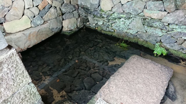 f:id:shioritz:20210510074022j:image