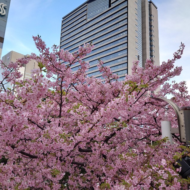 f:id:shioritz:20230310075220j:image f:id:shioritz:20230310075220j:image