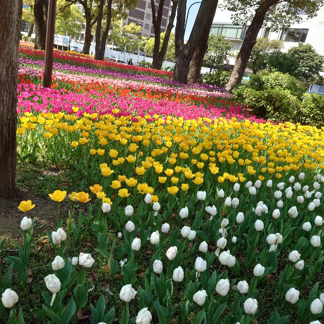f:id:shioritz:20230405074314j:image f:id:shioritz:20230405074314j:image