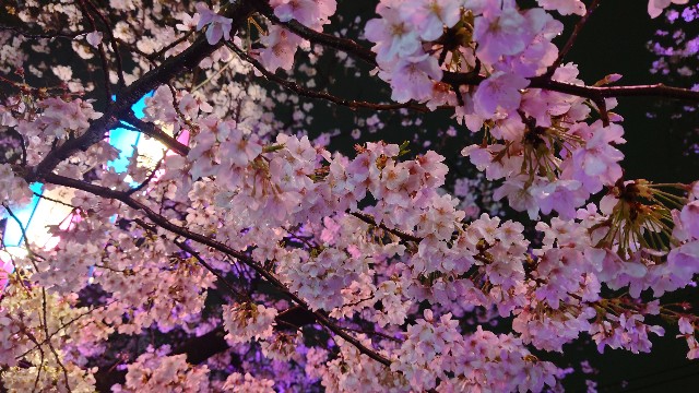 f:id:shioritz:20230405074500j:image f:id:shioritz:20230405074500j:image