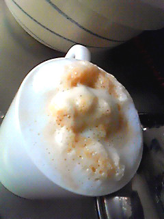 f:id:shioru:20090416231329j:image