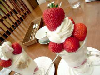 f:id:shioru:20090416231451j:image