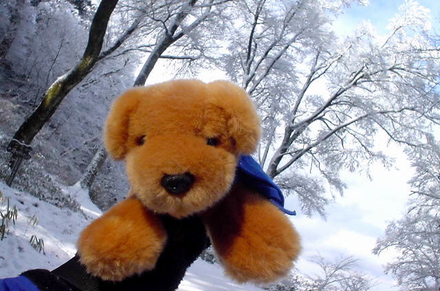 f:id:shioshiohida:20030107120832j:image