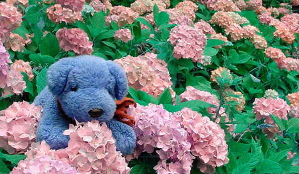 f:id:shioshiohida:20060628122826j:image