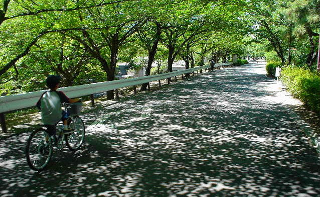 f:id:shioshiohida:20080717134145j:image f:id:shioshiohida:20080717134145j:image