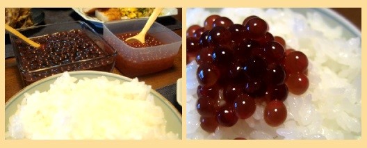 f:id:shioshiohida:20091104004647j:image