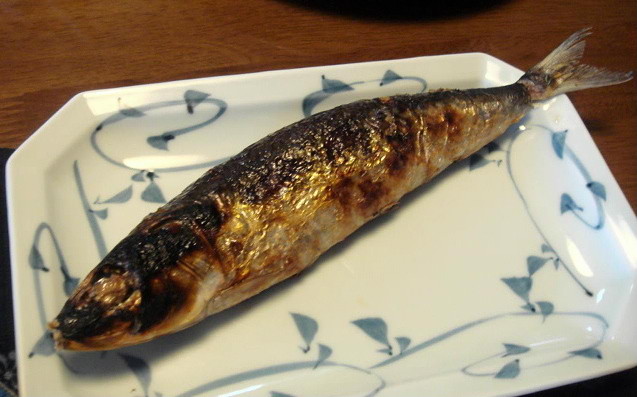 f:id:shioshiohida:20100203110524j:image