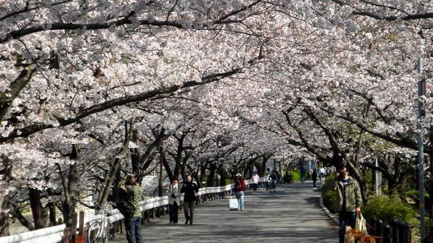 f:id:shioshiohida:20100404083901j:image