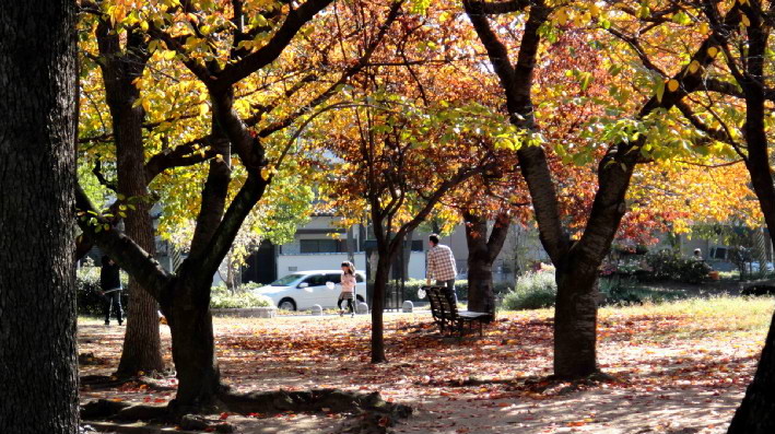 f:id:shioshiohida:20101121104436j:image f:id:shioshiohida:20101121104436j:image