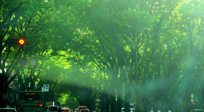 f:id:shioshiohida:20110513163711j:image