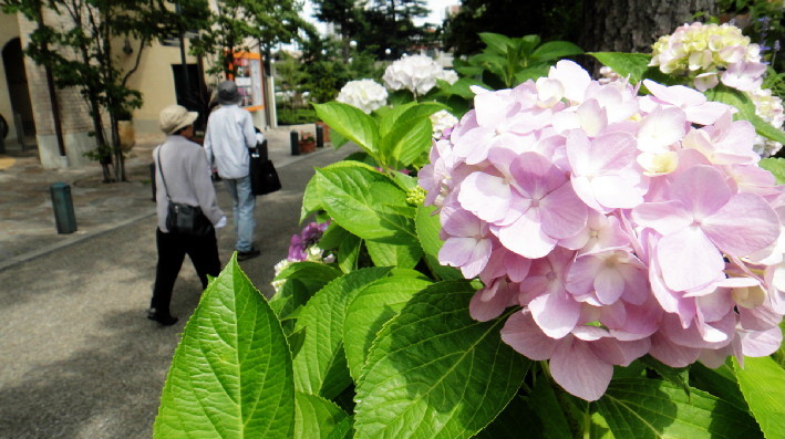 f:id:shioshiohida:20110614140647j:image