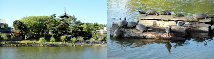 f:id:shioshiohida:20110630154205j:image