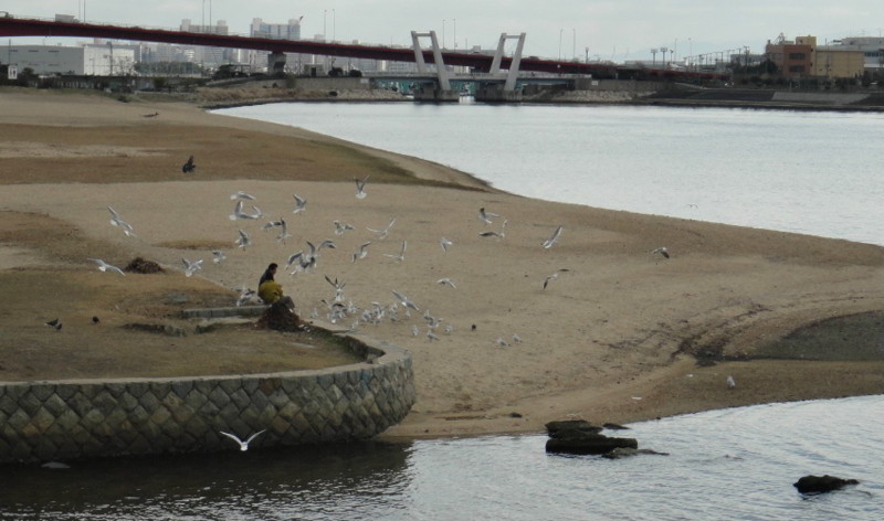 f:id:shioshiohida:20111220114724j:image f:id:shioshiohida:20111220114724j:image