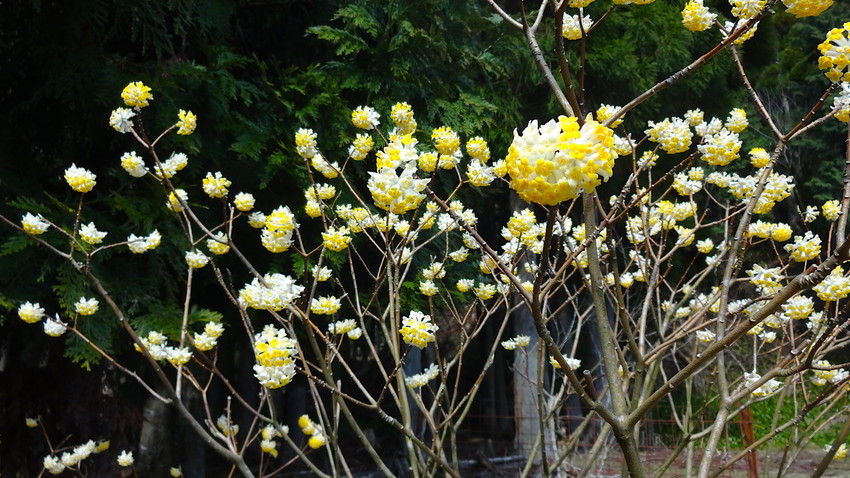 f:id:shioshiohida:20120101052032j:plain