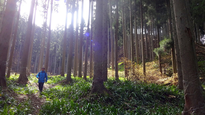 f:id:shioshiohida:20120101052714j:plain