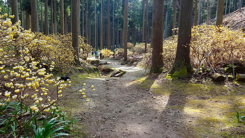 f:id:shioshiohida:20120101053226j:plain