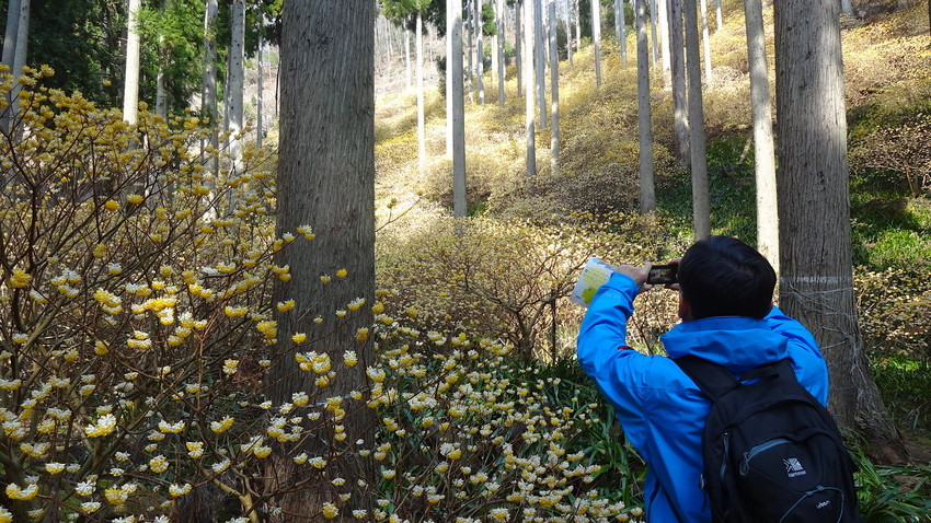 f:id:shioshiohida:20120101054121j:plain