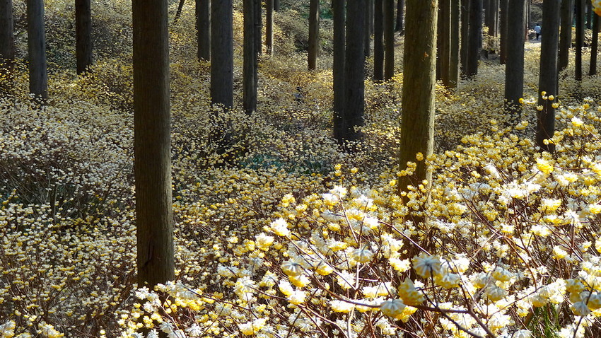 f:id:shioshiohida:20120101055657j:plain