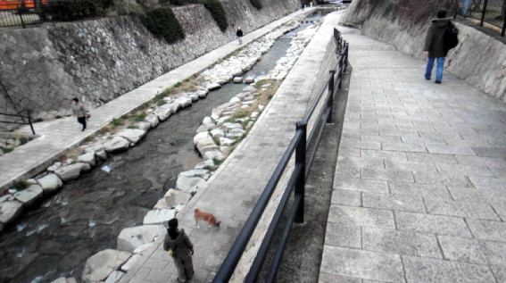 f:id:shioshiohida:20120302174103j:image