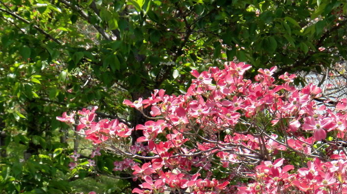 f:id:shioshiohida:20120421131041j:image f:id:shioshiohida:20120421131041j:image