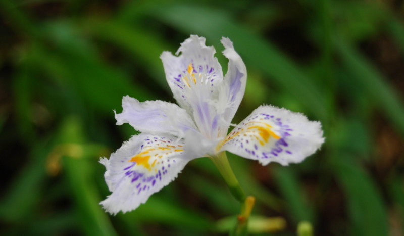 f:id:shioshiohida:20120508120326j:image