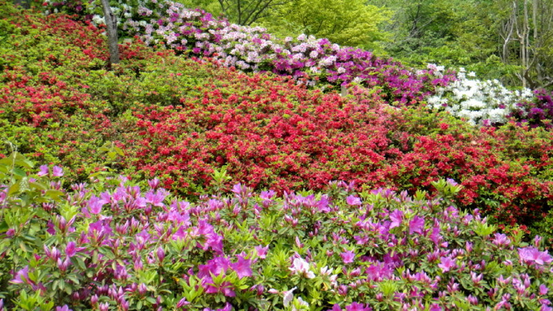 f:id:shioshiohida:20120508121253j:image