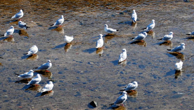 f:id:shioshiohida:20121112105643j:image