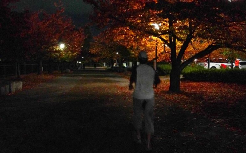 f:id:shioshiohida:20121121013908j:image