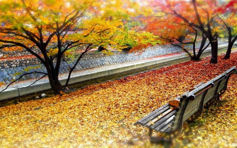 f:id:shioshiohida:20121123002832j:image