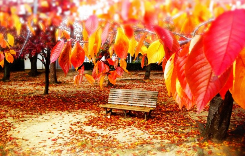 f:id:shioshiohida:20121123004710j:image
