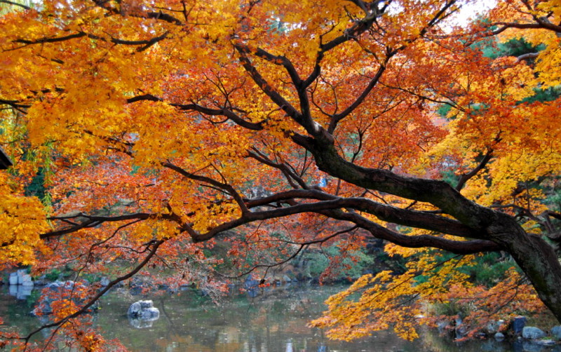 f:id:shioshiohida:20121130102830j:image f:id:shioshiohida:20121130102830j:image
