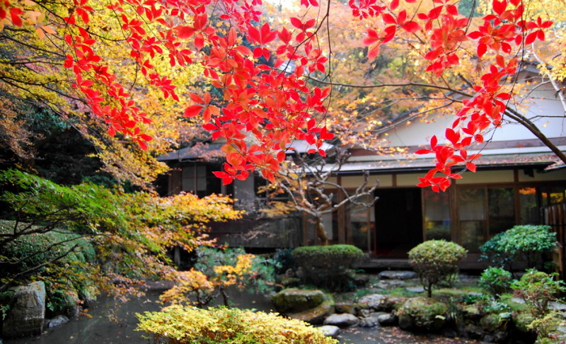 f:id:shioshiohida:20121130104941j:image f:id:shioshiohida:20121130104941j:image