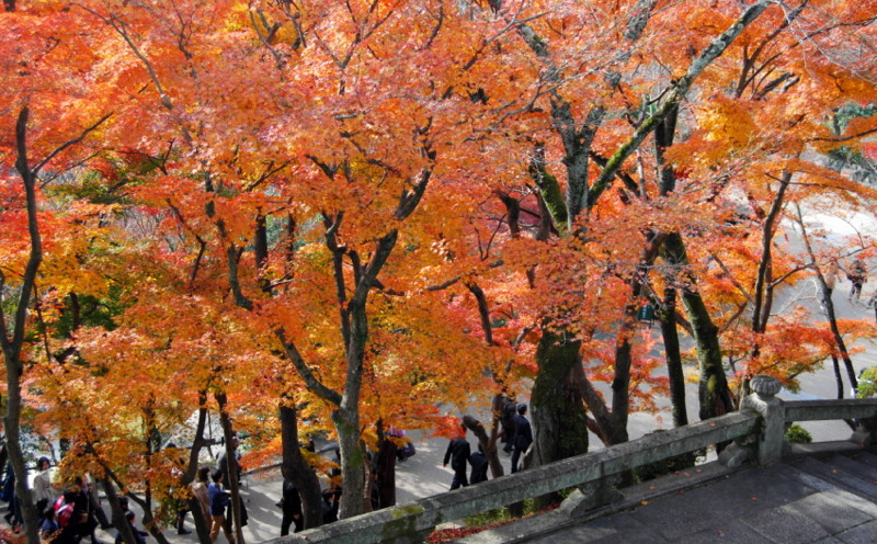 f:id:shioshiohida:20121130113439j:image f:id:shioshiohida:20121130113439j:image