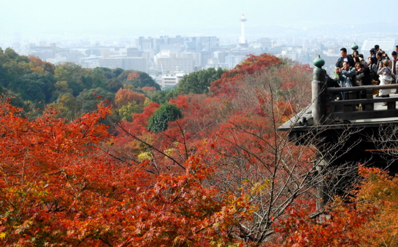 f:id:shioshiohida:20121130114132j:image f:id:shioshiohida:20121130114132j:image