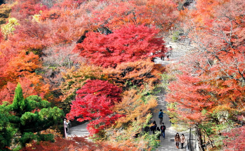 f:id:shioshiohida:20121130114328j:image f:id:shioshiohida:20121130114328j:image