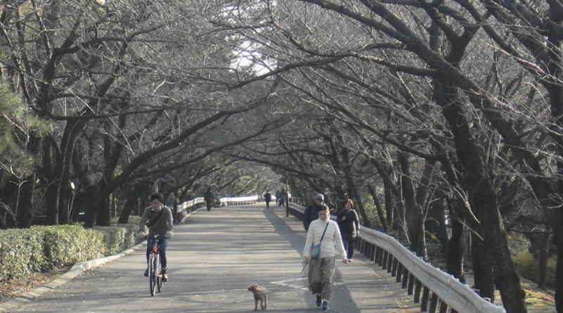 f:id:shioshiohida:20121216150108j:image