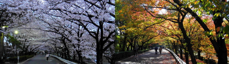 f:id:shioshiohida:20121217082251j:image