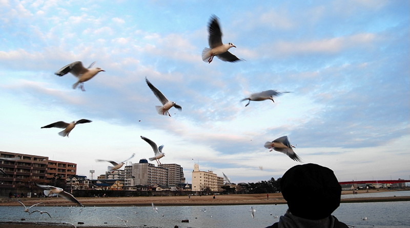 f:id:shioshiohida:20130101164656j:image f:id:shioshiohida:20130101164656j:image