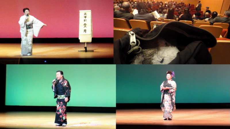 f:id:shioshiohida:20130105004313j:image
