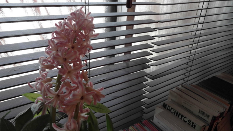 f:id:shioshiohida:20130311113300j:image