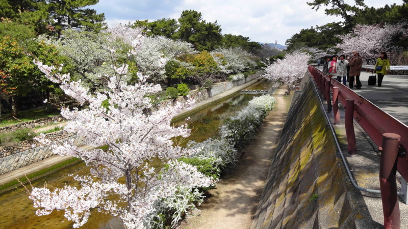 f:id:shioshiohida:20130403110844j:image