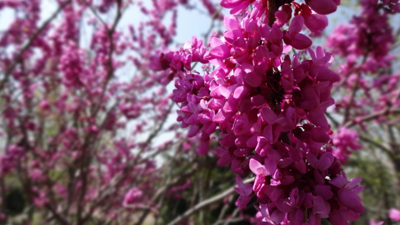 f:id:shioshiohida:20130408110443j:image f:id:shioshiohida:20130408110443j:image